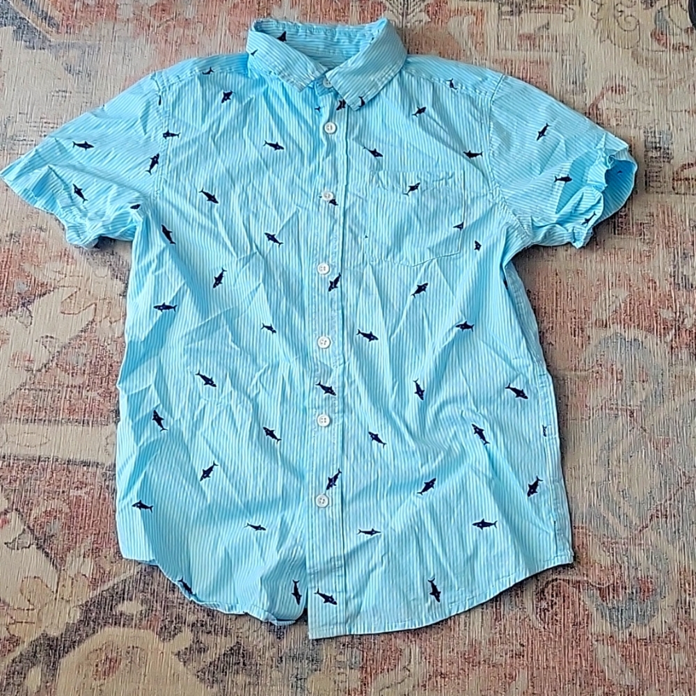 Light blue shark button up